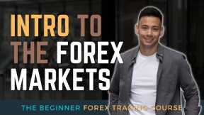 Lesson 1. Forex Trading For Beginners - Forex Market Basics