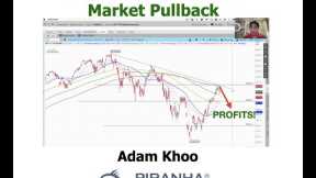 Profit from the Stock Market Pullback