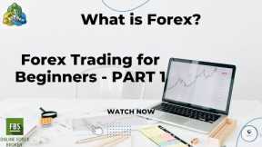 Forex Trading for Beginners - What is Forex?