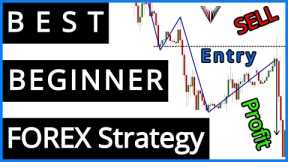 PERFECT Beginner FOREX Strategy