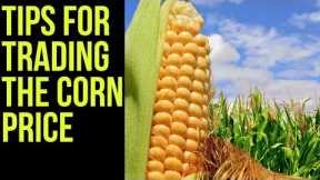 Corn Futures Trading Basics: How to Trade the Corn Price 🌽