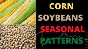 Seasonal Futures Market Patterns Corn Soybeans