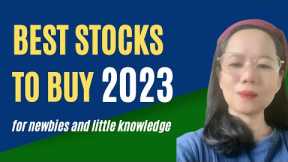 Best Stock to Buy this 2023 | Stock Market Investing