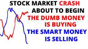 Stock Market CRASH Soon:  The Dumb Money (The Herd) is Buying - The Smart Money Is Selling