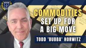 Gold, Oil, Wheat, and These Commodities are Set Up For a Dramatic Move: Todd Horwitz