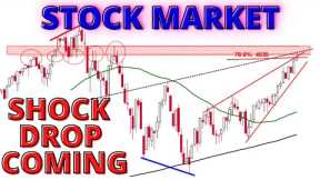 Shocking Stock Market CRASH Is Now in Progress -  A Violent CRASH Will Occur Over the Next Few Weeks