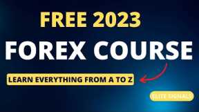 From Beginner to Pro Trader - FREE Forex Course 2023