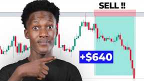 The Best Trading Strategy for Beginner Forex Traders