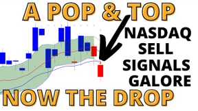 The Stock Market CRASH Has Arrived As NASDAQ Signals Turn Bearish & Complacency Has Been Reached
