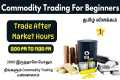 Commodity Trading for Beginners |