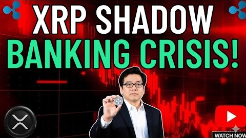 XRP Shadow Banking CRISIS! Tom lee