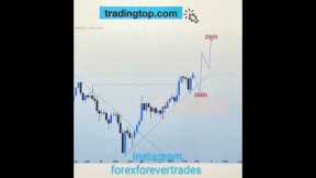 The BEST Technical Analysis for Commodities *LIVE TRADING XAU/USD*