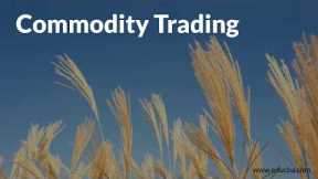 How Commodity Market works