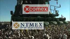 Agricultural Commodities: The Basics of Trading Futures and Options