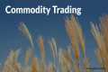 How Commodity Market works